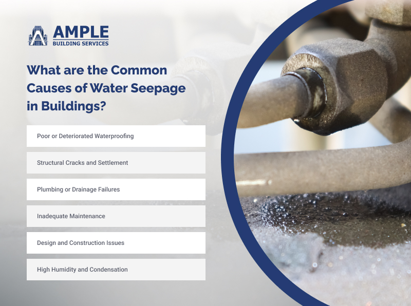Infographic on common causes of water seepage.